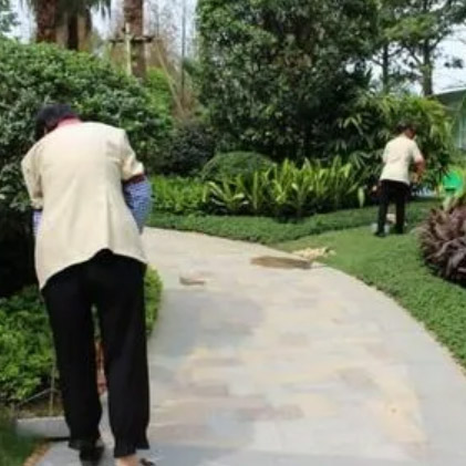 小区保洁托管服务